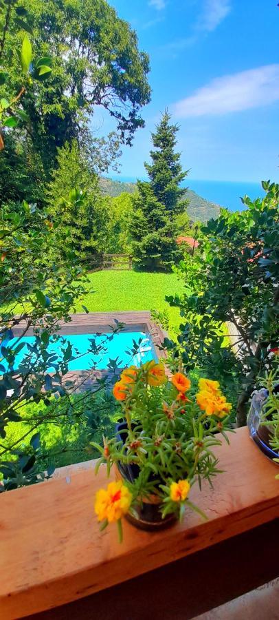 Golden Mountain Guest House Anilio Pelion Екстериор снимка