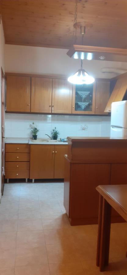 Golden Mountain Guest House Anilio Pelion Екстериор снимка
