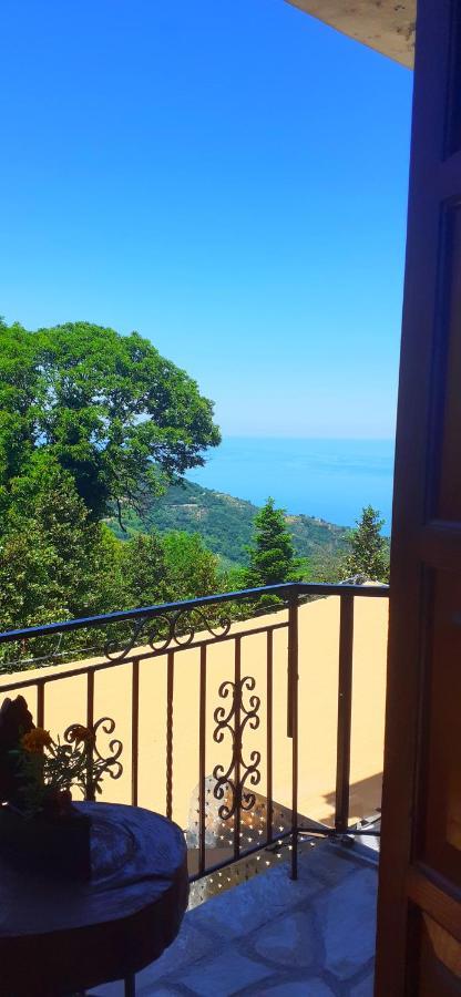 Golden Mountain Guest House Anilio Pelion Екстериор снимка