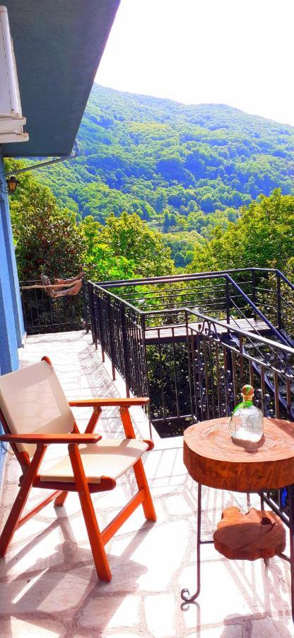 Golden Mountain Guest House Anilio Pelion Екстериор снимка