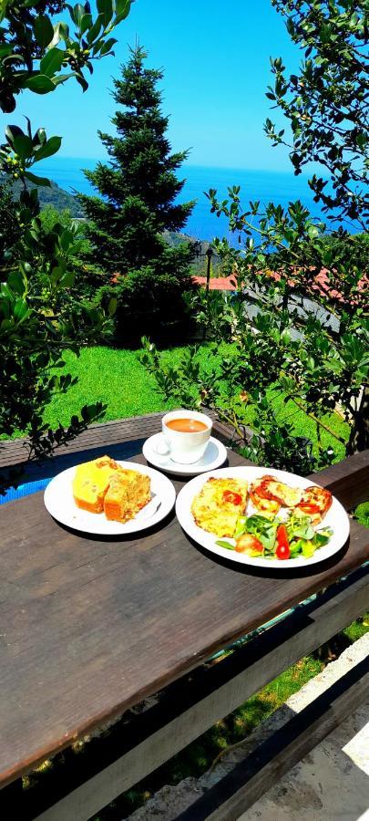 Golden Mountain Guest House Anilio Pelion Екстериор снимка